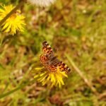 Carte géographique_996