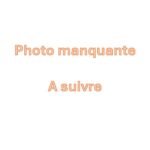 Tramète versicolore_1840